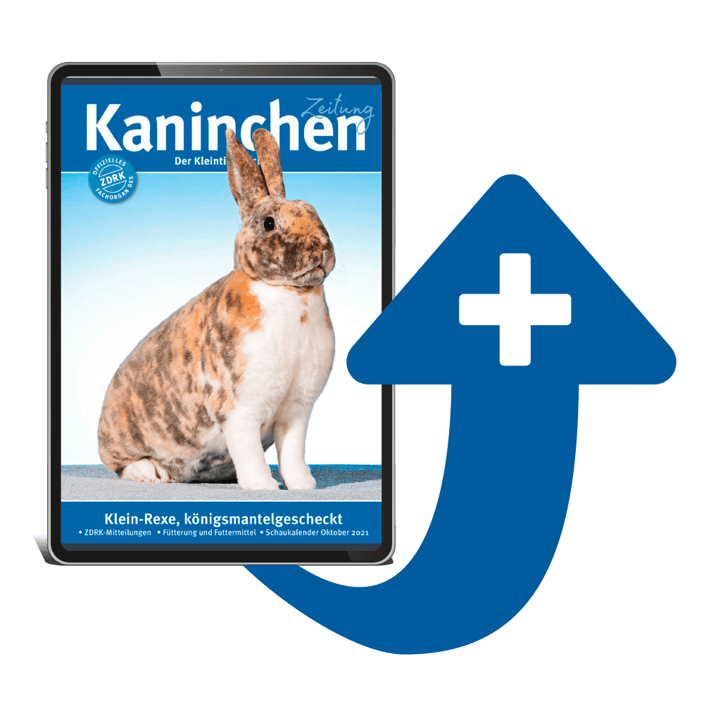 Kaninchenzeitung Upgrade