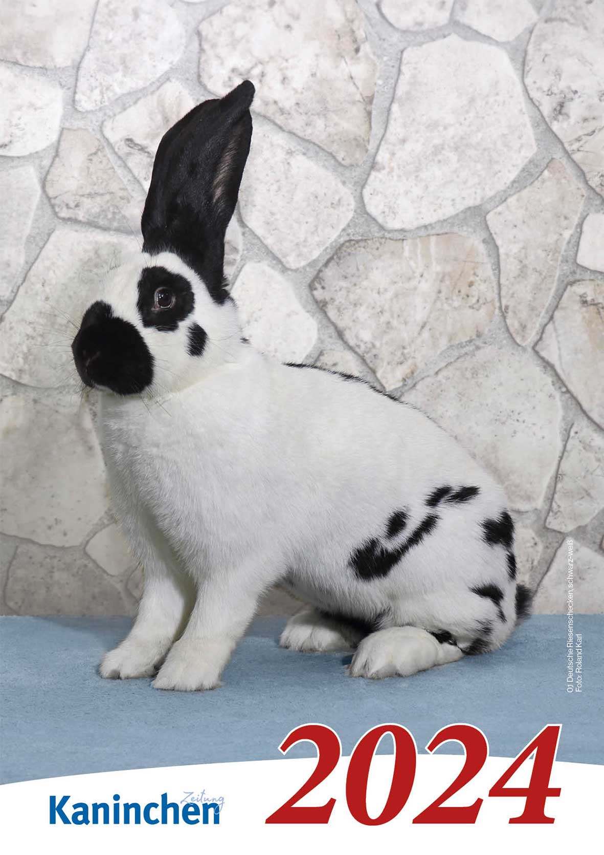 Bildkalender Kaninchen 2024