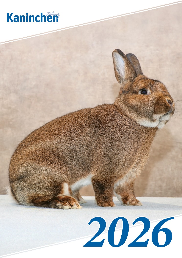 Bildkalender Kaninchen 2026