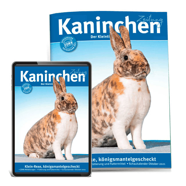 Kaninchenzeitung Kombiabo
